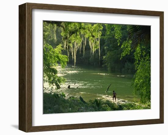 Macac River Running Through Rainforest at Old Man's Beard, Belize, Central America-Macleod Iain-Framed Photographic Print