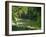 Macac River Running Through Rainforest at Old Man's Beard, Belize, Central America-Macleod Iain-Framed Photographic Print