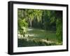 Macac River Running Through Rainforest at Old Man's Beard, Belize, Central America-Macleod Iain-Framed Photographic Print