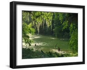 Macac River Running Through Rainforest at Old Man's Beard, Belize, Central America-Macleod Iain-Framed Photographic Print