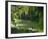 Macac River Running Through Rainforest at Old Man's Beard, Belize, Central America-Macleod Iain-Framed Photographic Print