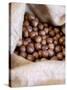 Macadamia Nuts, Ok Farms, Hilo, Big Island, Hawaii, USA-Cindy Miller Hopkins-Stretched Canvas