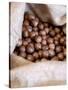 Macadamia Nuts, Ok Farms, Hilo, Big Island, Hawaii, USA-Cindy Miller Hopkins-Stretched Canvas