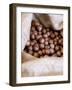 Macadamia Nuts, Ok Farms, Hilo, Big Island, Hawaii, USA-Cindy Miller Hopkins-Framed Photographic Print