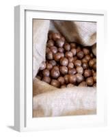 Macadamia Nuts, Ok Farms, Hilo, Big Island, Hawaii, USA-Cindy Miller Hopkins-Framed Photographic Print
