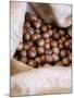 Macadamia Nuts, Ok Farms, Hilo, Big Island, Hawaii, USA-Cindy Miller Hopkins-Mounted Photographic Print