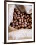 Macadamia Nuts, Ok Farms, Hilo, Big Island, Hawaii, USA-Cindy Miller Hopkins-Framed Photographic Print