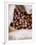 Macadamia Nuts, Ok Farms, Hilo, Big Island, Hawaii, USA-Cindy Miller Hopkins-Framed Photographic Print