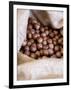 Macadamia Nuts, Ok Farms, Hilo, Big Island, Hawaii, USA-Cindy Miller Hopkins-Framed Photographic Print