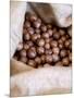 Macadamia Nuts, Ok Farms, Hilo, Big Island, Hawaii, USA-Cindy Miller Hopkins-Mounted Photographic Print