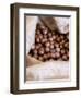 Macadamia Nuts, Ok Farms, Hilo, Big Island, Hawaii, USA-Cindy Miller Hopkins-Framed Photographic Print