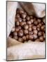 Macadamia Nuts, Ok Farms, Hilo, Big Island, Hawaii, USA-Cindy Miller Hopkins-Mounted Photographic Print