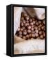 Macadamia Nuts, Ok Farms, Hilo, Big Island, Hawaii, USA-Cindy Miller Hopkins-Framed Stretched Canvas