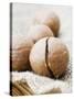 Macadamia Nuts-Frank Tschakert-Stretched Canvas