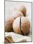 Macadamia Nuts-Frank Tschakert-Mounted Photographic Print