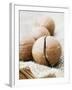 Macadamia Nuts-Frank Tschakert-Framed Photographic Print