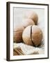 Macadamia Nuts-Frank Tschakert-Framed Photographic Print