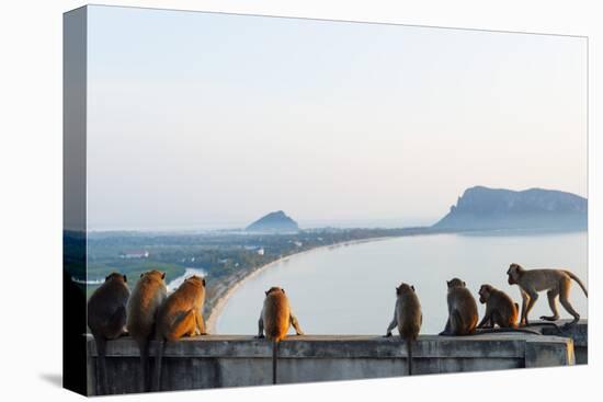 Macaque Monkey (Macaca), Khao Chong Krajok, Prachuap Kiri Khan, Thailand, Southeast Asia, Asia-Christian Kober-Stretched Canvas