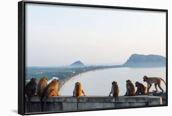 Macaque Monkey (Macaca), Khao Chong Krajok, Prachuap Kiri Khan, Thailand, Southeast Asia, Asia-Christian Kober-Framed Photographic Print