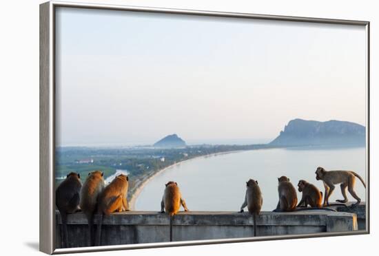 Macaque Monkey (Macaca), Khao Chong Krajok, Prachuap Kiri Khan, Thailand, Southeast Asia, Asia-Christian Kober-Framed Photographic Print