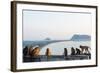 Macaque Monkey (Macaca), Khao Chong Krajok, Prachuap Kiri Khan, Thailand, Southeast Asia, Asia-Christian Kober-Framed Photographic Print