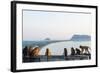 Macaque Monkey (Macaca), Khao Chong Krajok, Prachuap Kiri Khan, Thailand, Southeast Asia, Asia-Christian Kober-Framed Photographic Print