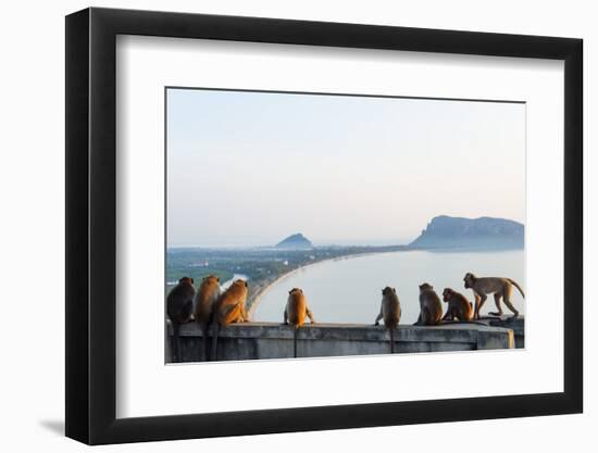 Macaque Monkey (Macaca), Khao Chong Krajok, Prachuap Kiri Khan, Thailand, Southeast Asia, Asia-Christian Kober-Framed Photographic Print