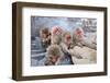 Macaques Bath in Hot Springs in Nagano, Japan.-SeanPavonePhoto-Framed Photographic Print