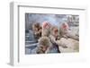 Macaques Bath in Hot Springs in Nagano, Japan.-SeanPavonePhoto-Framed Photographic Print