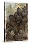 Macaques by Alfred Edmund Brehm-Stefano Bianchetti-Stretched Canvas