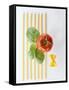 Macaroni, Farfalle, Tomato and Basil-null-Framed Stretched Canvas