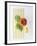 Macaroni, Farfalle, Tomato and Basil-null-Framed Photographic Print