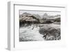 Macaroni Penguins (Eudyptes Chrysolophus) Returning to Breeding Colony in Cooper Bay, Polar Regions-Michael Nolan-Framed Photographic Print