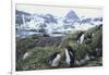 Macaroni Penguins Resting on the Shore-DLILLC-Framed Photographic Print