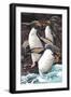 Macaroni Penguins-Lantern Press-Framed Art Print