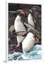 Macaroni Penguins-Lantern Press-Framed Art Print