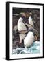 Macaroni Penguins-Lantern Press-Framed Art Print