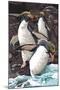 Macaroni Penguins-Lantern Press-Mounted Art Print
