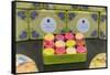 Macarons In A Box-Cora Niele-Framed Stretched Canvas