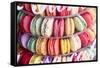 Macarons-Cora Niele-Framed Stretched Canvas
