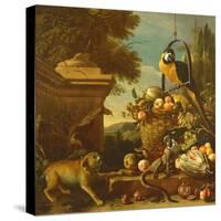 Macaw and a Monkey-Melchior de Hondecoeter-Stretched Canvas