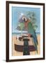 Macaw-Garita-Scott Westmoreland-Framed Art Print