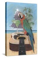 Macaw-Garita-Scott Westmoreland-Stretched Canvas