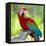 Macaw Sitting On Branch-mirceab-Framed Stretched Canvas