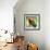 Macaw Sitting On Branch-mirceab-Framed Photographic Print displayed on a wall