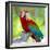 Macaw Sitting On Branch-mirceab-Framed Photographic Print