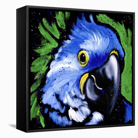 Macaw-null-Framed Stretched Canvas