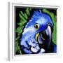 Macaw-null-Framed Premium Giclee Print