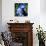Macaw-null-Art Print displayed on a wall