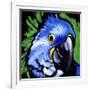 Macaw-null-Framed Art Print